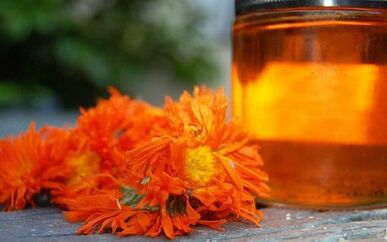 decocciones para el tratamiento de las venas varicosas